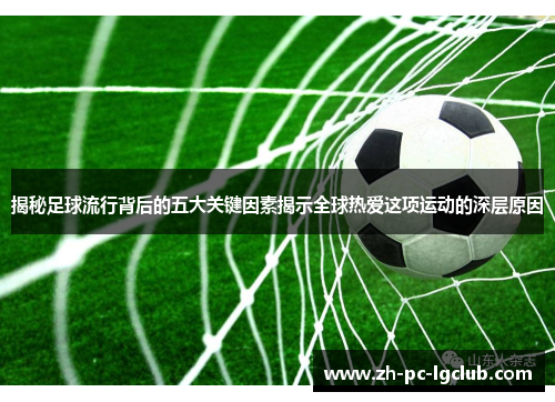 揭秘足球流行背后的五大关键因素揭示全球热爱这项运动的深层原因 揭秘足球流行背后的五大关键因素揭示全球热爱这项运动的深层原因