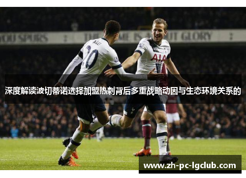 深度解读波切蒂诺选择加盟热刺背后多重战略动因与生态环境关系的 深度解读波切蒂诺选择加盟热刺背后多重战略动因与生态环境关系的