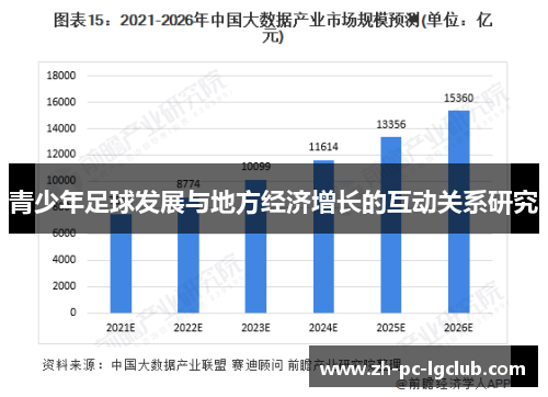 青少年足球发展与地方经济增长的互动关系研究